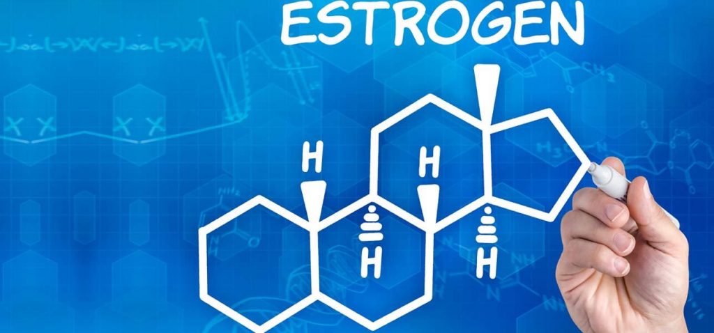 Estrogen có tác dụng là gì?