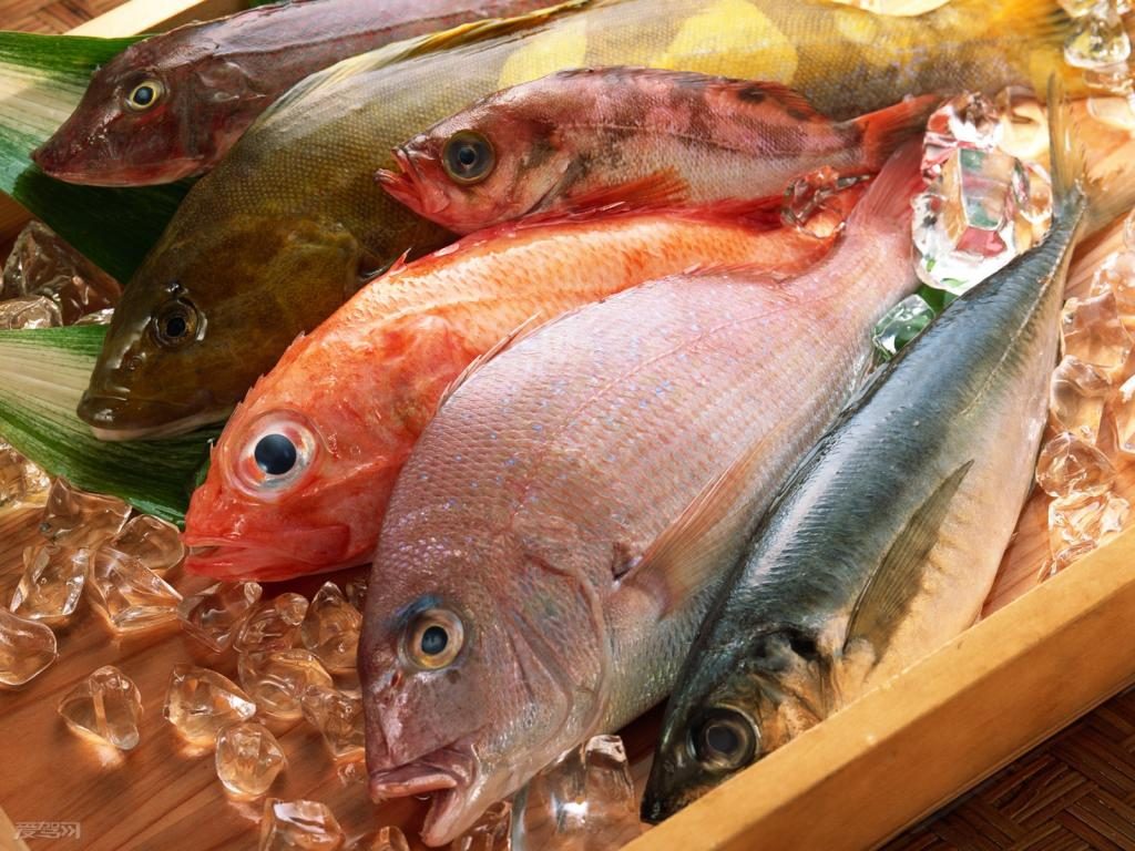 Tăng nội tiết tố nữ hiệu quả bằng omega -3