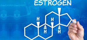 tác dụng của estrogen