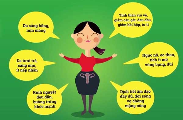 Tác dụng của estrogen là gì? đối với sinh lý phụ nữ
