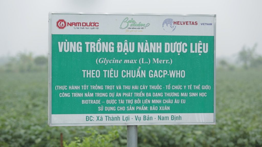Bổ sung mầm đậu nành dược liệu giúp chị em phụ nữ dễ dàng hấp thu và cho hiệu quả tốt nhất