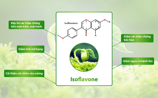 tinh-chat-isoflavone